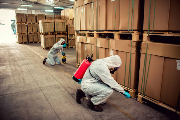 Best Pest Inspection Near Me  in Itasca, TX