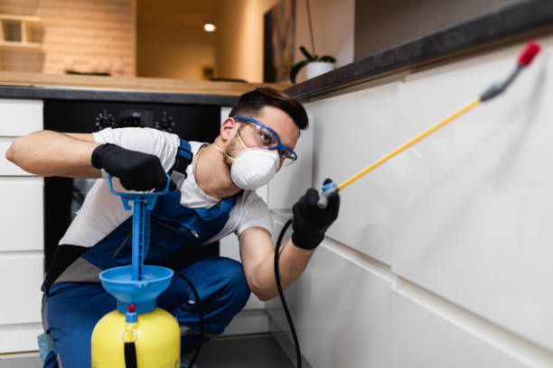 Best Wildlife Control Services  in Itasca, TX