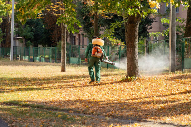 Best Residential Pest Control  in Itasca, TX