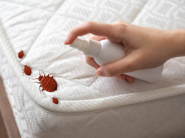 Best Pest Control for Businesses  in Itasca, TX