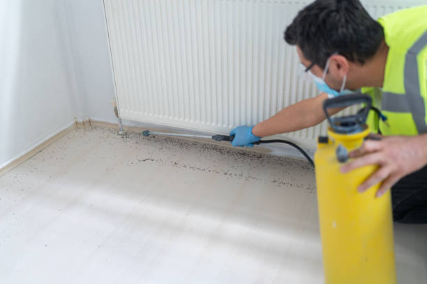 Trusted Itasca, TX Pest Control Experts