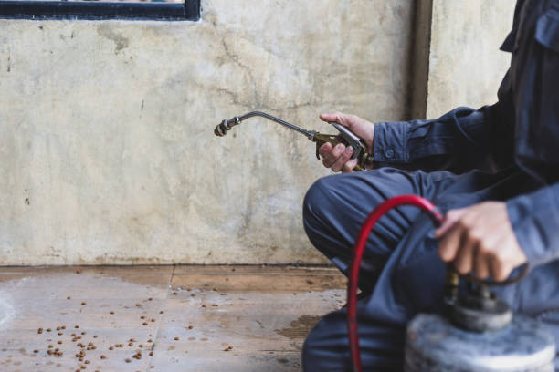 Best Commercial Pest Control Services  in Itasca, TX